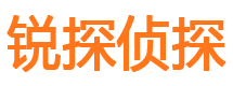 尼勒克侦探公司